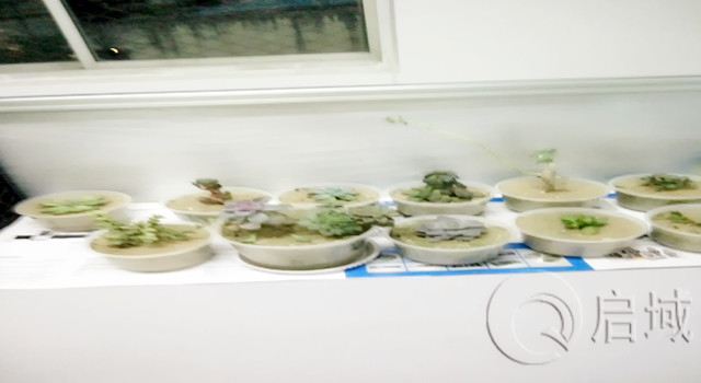 黄瓜免费视频APP金屬辦公室